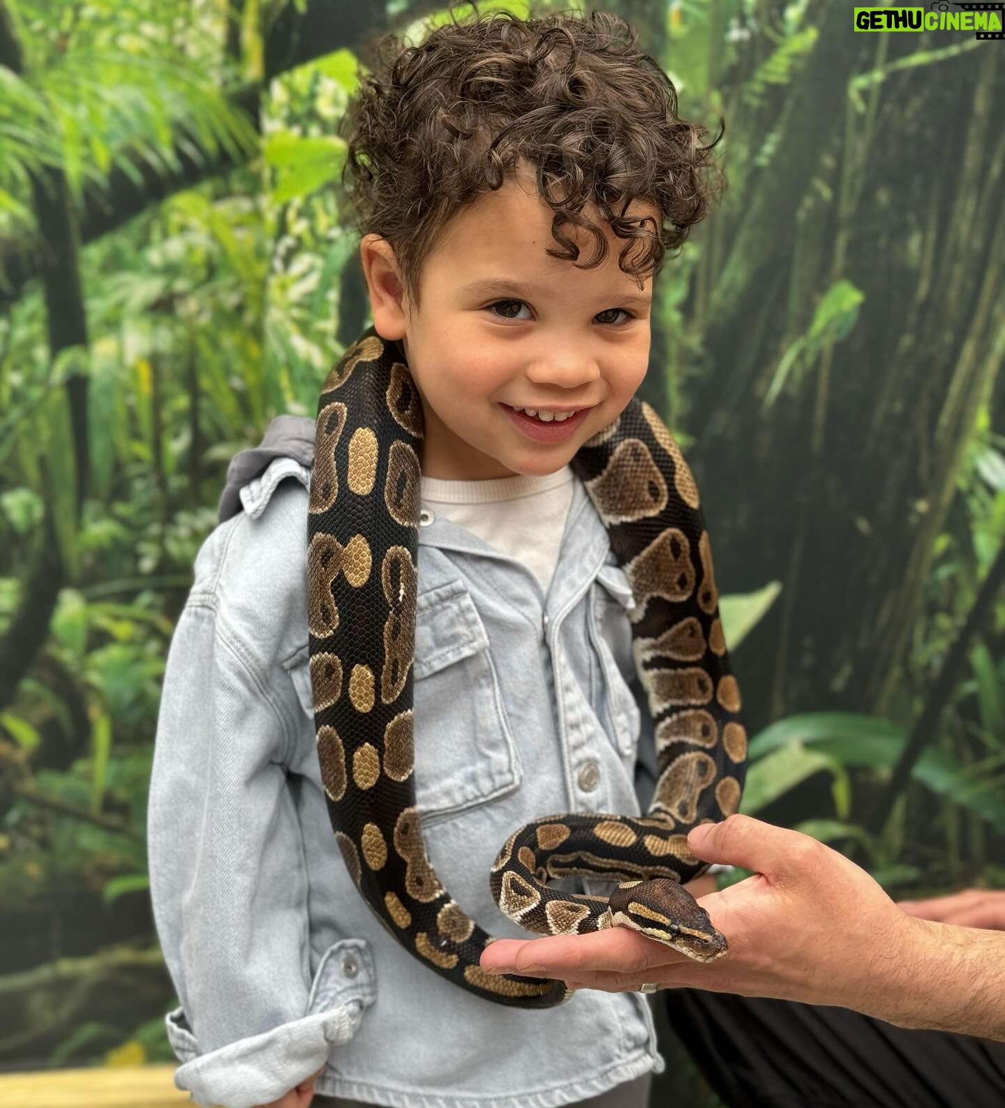 Kimberley Walsh Instagram - Weekend party fun with my boys 🐍 😬