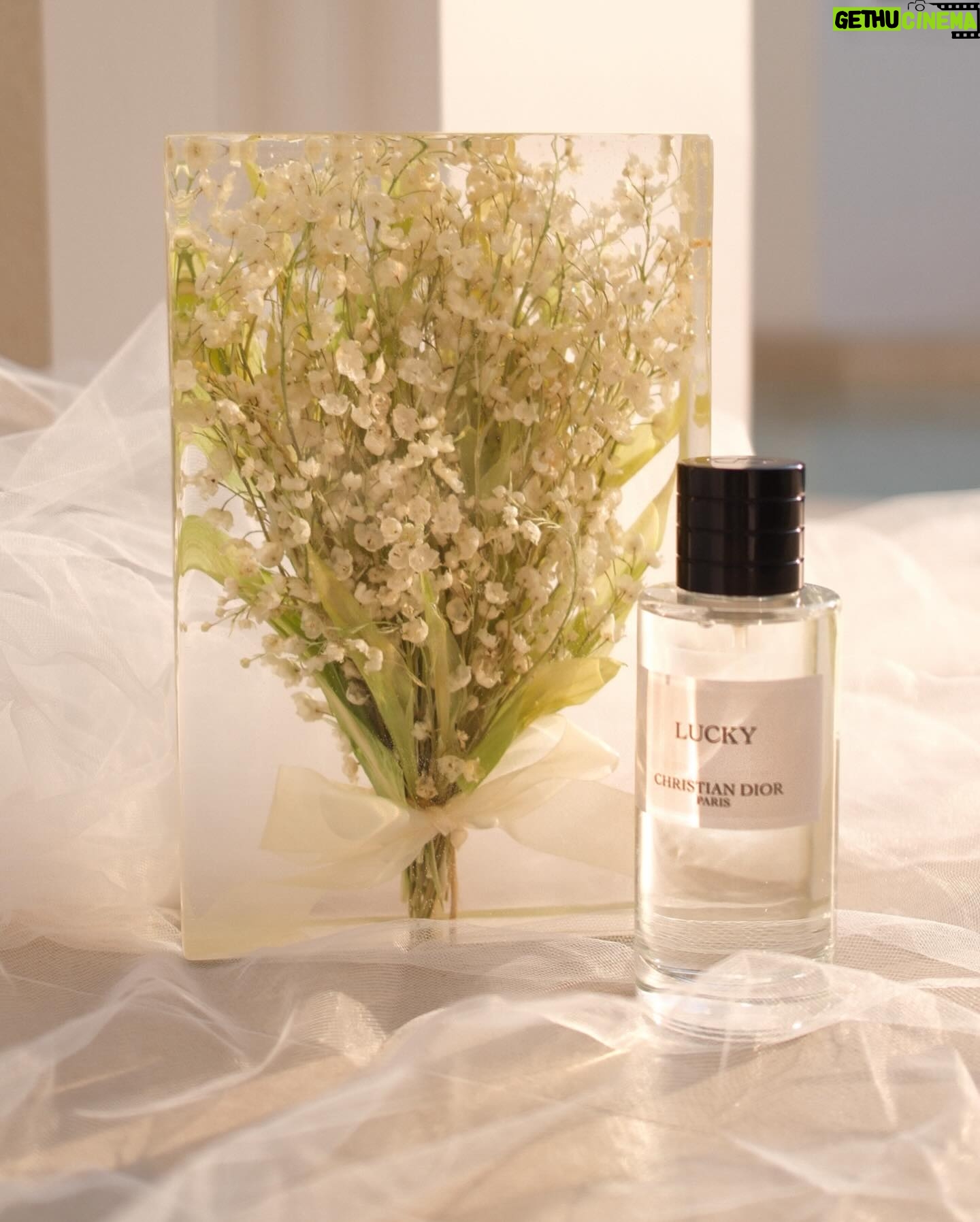 Kimberly Ann Voltemas Instagram - Every May 1st in France, Lily of the valley bouquets are given to loved ones. This flower, cherished by Christian Dior and brings back memories of my wedding bouquets and fav scent ’Lucky‘ from La Collection Privée, a scent for good luck. ☘️🤍 น้ำหอม La Collection Privée, วางจำหน่ายที่ Dior Beauty สาขา Iconsiam, Central Chidlom, Siam Paragon, Mega Bangna, The EmQuatier, The Emsphere และออนไลน์ shop.dior.co.th #DiorLaCollectionPrivée #DiorBeauty @DiorBeauty @DiorBeautylovers