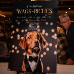 Kimberly Guilfoyle Instagram - Last night, we welcomed the Wags to Riches Leadership Committee onboard The Kimberlie for an amazing night with a great cause! This mission is close to my heart as my own dogs were rescued by Furry Friends and their lifesaving work. It is our goal to make Florida a state where no animal is put down due to space. Our work has only just begun! Join us for The Wags to Riches Gala on April 13th at The Mar-a-Lago Club. @furryfriendsjupiter