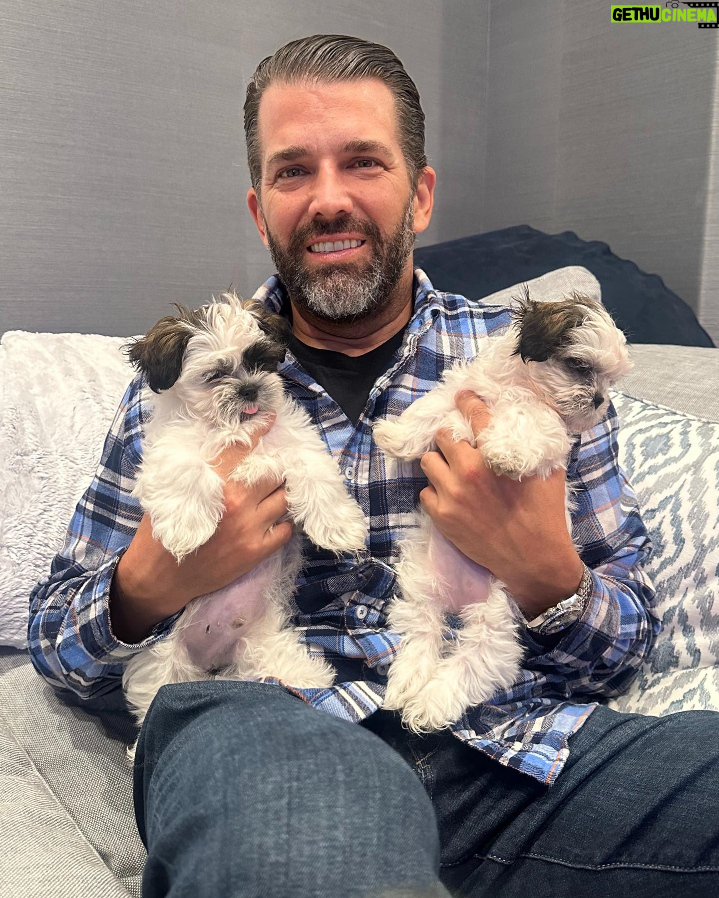 Kimberly Guilfoyle Instagram - What a blessing to celebrate another anniversary with my soul mate and forever best friend. Cherish the moments with the ones you love, who always have your back, who share your mission to leave the world a better place than you found it, and who even lets you surprise him with a new furry friend rescue puppy every once in awhile. Check out my new book Princess and her Pup π in bio! @donaldjtrumpjr @furryfriendsjupiter #KGPUPS #PrincessandHerPup #FurryFriendsAnimalRescue #RescueDogs #BraveBooks