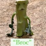 Kimberly Williams-Paisley Instagram - The life and adventures of Broc. Inspired by a character created by son Jasper. 🥦🥦🥦❤️ #broccoli #broccolilover #broccoliart #sunday #sundayfunday #broc #weird