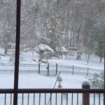 Kimberly Williams-Paisley Instagram - I really really appreciate a good #snowday ❄️❄️❄️🥶❤️☕️🥐🛷