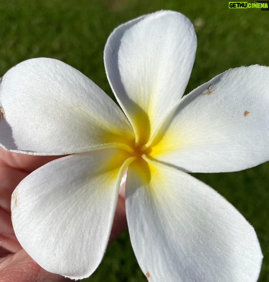 Kimberly Williams-Paisley Instagram - Repost • @helenhunt WE CAN HELP One Native Hawaiian resident equated the devastation in Lahaina Town to losing a family member, an Elder. People are gone forever and many places too. And….LahainaStrong is a saying for a reason. The people of Lahaina Town and the surrounding areas will never get what they had back but they will rebuild. In the meantime, there needs to be diapers and food on the table and shelter for so many. WE. CAN. HELP. In my bio are links to the following organizations (scroll down) that I know will be helpful. In this case, $10 dollars really does matter. It’s a package of diapers. Please give what you can and a tiny bit more. People are in deep need right now. Re-posting helps but DONATING is the thing. Mahalo nui loa Council for Native Hawaiian Advancement: @hawaiiancouncil In partnership with Alaka’ina Foundation Family of Companies and Kako’o, CNHA is MATCHING up to $100,000 in community donations for families impacted by the wildfires on Maui. Maui Food Bank: I know first-hand @mauifoodbank has reliably collected and distributed food in Maui to those in need. They partner with Maui VOAD and the Feeding America Food Bank Network. The Salvation Army: The Salvation Army is actively providing food and resources to evacuees affected by the Hawaii wildfires. @salvationarmyus American Red Cross of Hawaii: The Red Cross is offering shelter, comfort and assistance to those affected. @hawaiiredcross Maui Humane Society: Humans and animals are displaced. They urgently need support. @mauihumanesociety GO FUND ME: @slatertrout grew up on Maui’s Westside. He and his family are dear to me. Many of his friends and family have lost their home. He is boots-on-the-ground. Slater is committed to raising money to distribute directly to his neighbors. He promises (and I have no doubt) to “…do my best to divide the funds evenly among the families most affected.” 🙏🏽🌈❤️
