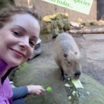Kimberly Williams-Paisley Instagram - Spent quality time with a capybara today at the @santabarbarazoo #capybara #lworldslargestrodent ❤️❤️❤️❤️❤️😁😁😁