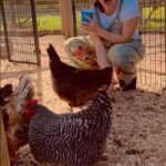 Kimberly Williams-Paisley Instagram - Got to pretend I was a farm girl in #Sonoma this weekend! 🐓🐓🥬❤️❤️🙏🏻