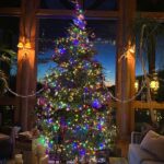 Kimberly Williams-Paisley Instagram - Post-Christmas calm. Sending love to you and yours. ❤️❤️❤️