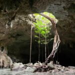Kirstin Maldonado Instagram - this was my favorite day 🥹❤️ INCREDIBLE cenote experience beach welcome to dinner in my @azulik nest 😂❤️ felt like we were adventurers in a magical spiritual world… underwater creatures that then grew wings and sat in a nest 😂 can’t stop smiling at my phone going back over these photos and truly one of the best days of my life w the best crew ❤️❤️❤️❤️