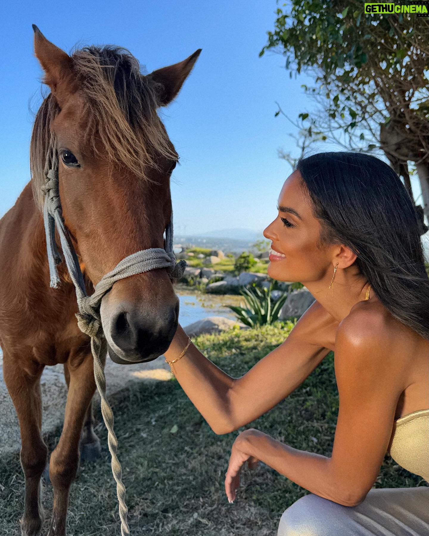 Klaudia El Dursi Instagram - 🤎 Konie wzbudzają we mnie ogromne emocje, nie potrafię przejść obok nich obojętnie. Mam nadzieje, że w tym roku uda mi się spełnić moje małe marzenie żeby galopować brzegiem morza ku zachodzącemu słońcu 🌅