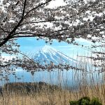 Klebber Toledo Instagram – Natureza 🇯🇵🤍