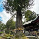 Klebber Toledo Instagram – Natureza 🇯🇵🤍