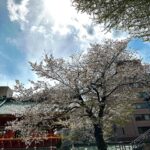 Klebber Toledo Instagram – Lindo e sagrado… Esse é o Santuário Kanda Myojin um lugar com uma energia única onde pude orar, conhecer um pouco mais da cultura japonesa e junto da família @tiffanyandco latam tomar um chá de matcha e sakura.
