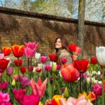 Klebber Toledo Instagram - 🌷✨