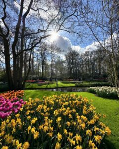 Klebber Toledo Instagram - 🌷✨