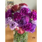 Ko Shibasaki Instagram - お花たち💐 ありがとうございます。 Merci beaucoup💐 冬の全国ツアーが発表されました♪ 芸能活動25周年ということもあり、これまで出演してきた映像作品の主題歌などを歌わせていただきます。 演じること、歌うこと。 それらが混ざり合って、今の私がある。 皆さんの思い出と共に楽しんでもらえたら嬉しいです。 只今 @ko_class にて先行受付中です🌻 #birthday #iriser #dior #大雨時行 #たいうときどきにふる #入道雲