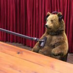 Kode Abdo Instagram - Next guest on @joerogan about this whole Man or Bear in the woods debate 🐻vs🧑