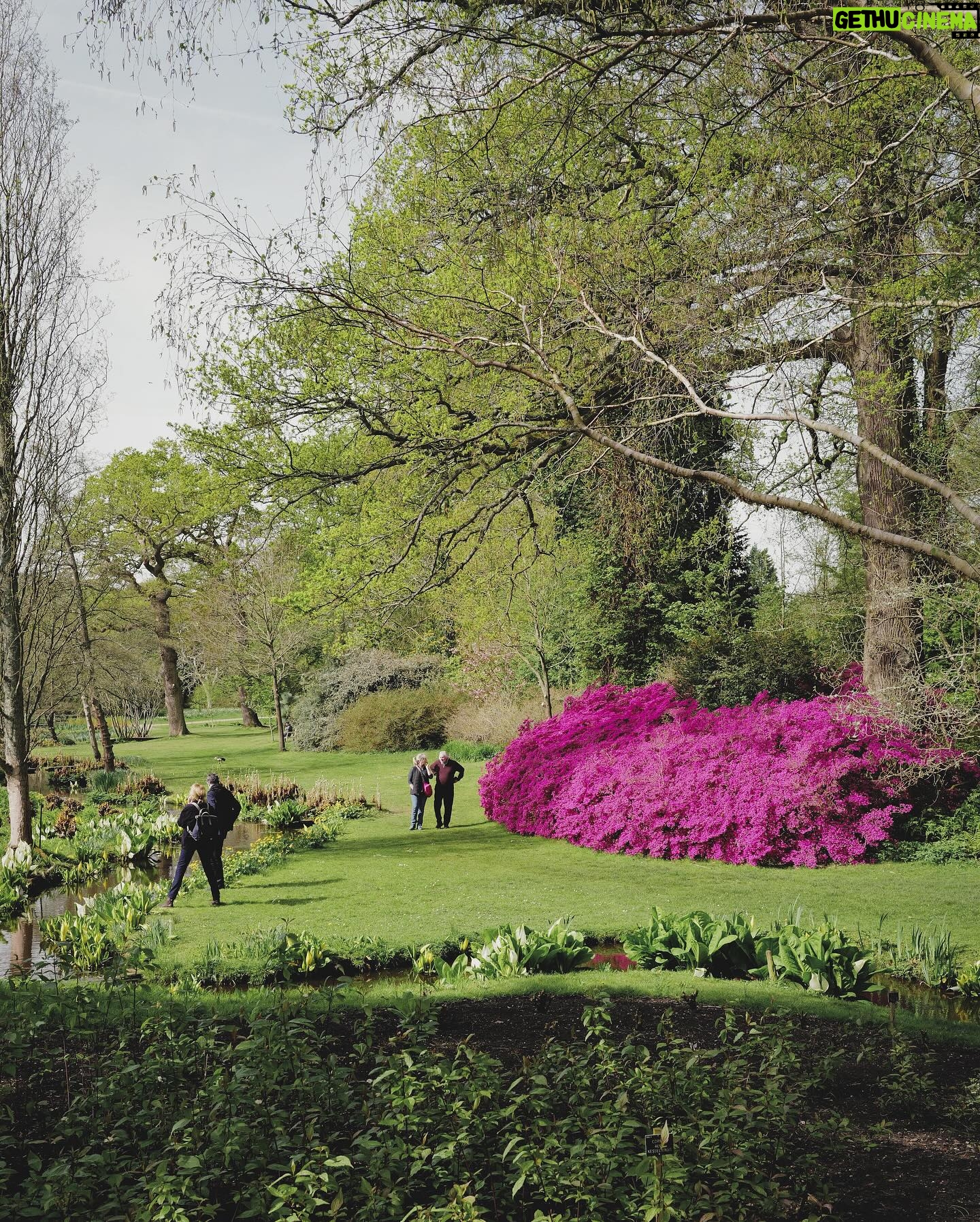 Koe Yeet Instagram - Take a walk in the park with me, will you? 🌱🌿