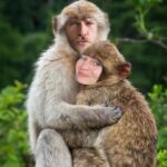 Kris Collins Instagram - Happy Valentines Day to my bestest buddy, my love, my partner in crime @oompavilleig ❤️🙉 Grateful for this monkey boy