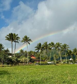 Kristen Doute Instagram - birthday, kauai style 🌺  mahalo @sheratonkauaicoconutbeach 🤙🏽 for the raddest hospitality and birthday wishes! #sheratonkauaicoconutbeach
