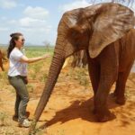 Kristin Davis Instagram - The best kind of reunion ♥️🐘 thank you @people for helping me share Ndotto’s amazing story and highlighting how impactful the fostering program at the @sheldricktrust can be! Anyone can foster these amazing creatures, even you!