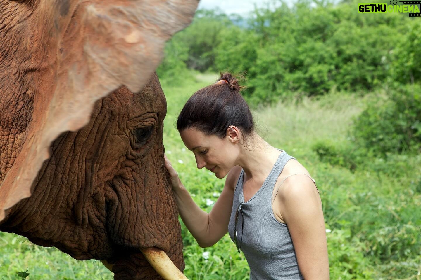 Kristin Davis Instagram - Happy Earth Day!! These pictures are from my time with the Sheldrick Trust, an organization that I hold so close to my heart. Maybe this Earth Day, you could plant a seed, take a hike, or even help foster an elephant! π β€οΈπ