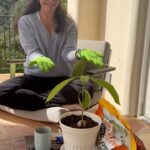 Kristin Davis Instagram - Stay tuned to see how it grows!