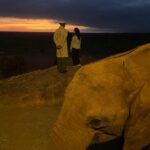 Kristin Davis Instagram - I cherish each visit to @sheldricktrust . It is truly magical to be in Kenya and get to see all of the many species of orphaned animals the Trust is raising. Thank you for all that you do #SWT , and thank you to the global community that makes it possible ♥️🐘🦒🦏🦉🦓🐃