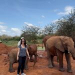 Kristin Davis Instagram - I love #elephants so much ! You can #foster one and be a part of their #healing ! @sheldricktrust loves and cares for them until they decide to live in the #wild again. It’s a wonderful #journey to be a part of ! Link in bio