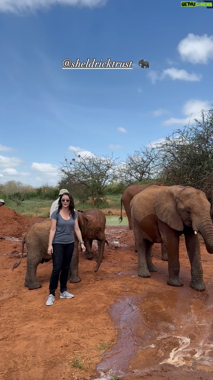 Kristin Davis Instagram - I love #elephants so much ! You can #foster one and be a part of their #healing ! @sheldricktrust loves and cares for them until they decide to live in the #wild again. It’s a wonderful #journey to be a part of ! Link in bio