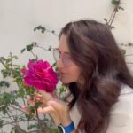 Kristin Davis Instagram - Hope you’re ready for more rose bush updates 🥰