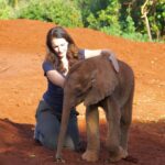 Kristin Davis Instagram - The best kind of reunion ♥️🐘 thank you @people for helping me share Ndotto’s amazing story and highlighting how impactful the fostering program at the @sheldricktrust can be! Anyone can foster these amazing creatures, even you!