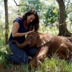 Kristin Davis Instagram - Happy Earth Day!! These pictures are from my time with the Sheldrick Trust, an organization that I hold so close to my heart. Maybe this Earth Day, you could plant a seed, take a hike, or even help foster an elephant! 🐘 ❤️🌎