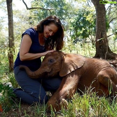 Kristin Davis Instagram - Happy Earth Day!! These pictures are from my time with the Sheldrick Trust, an organization that I hold so close to my heart. Maybe this Earth Day, you could plant a seed, take a hike, or even help foster an elephant! π β€οΈπ