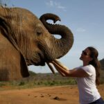 Kristin Davis Instagram - Happy Earth Day!! These pictures are from my time with the Sheldrick Trust, an organization that I hold so close to my heart. Maybe this Earth Day, you could plant a seed, take a hike, or even help foster an elephant! 🐘 ❤️🌎