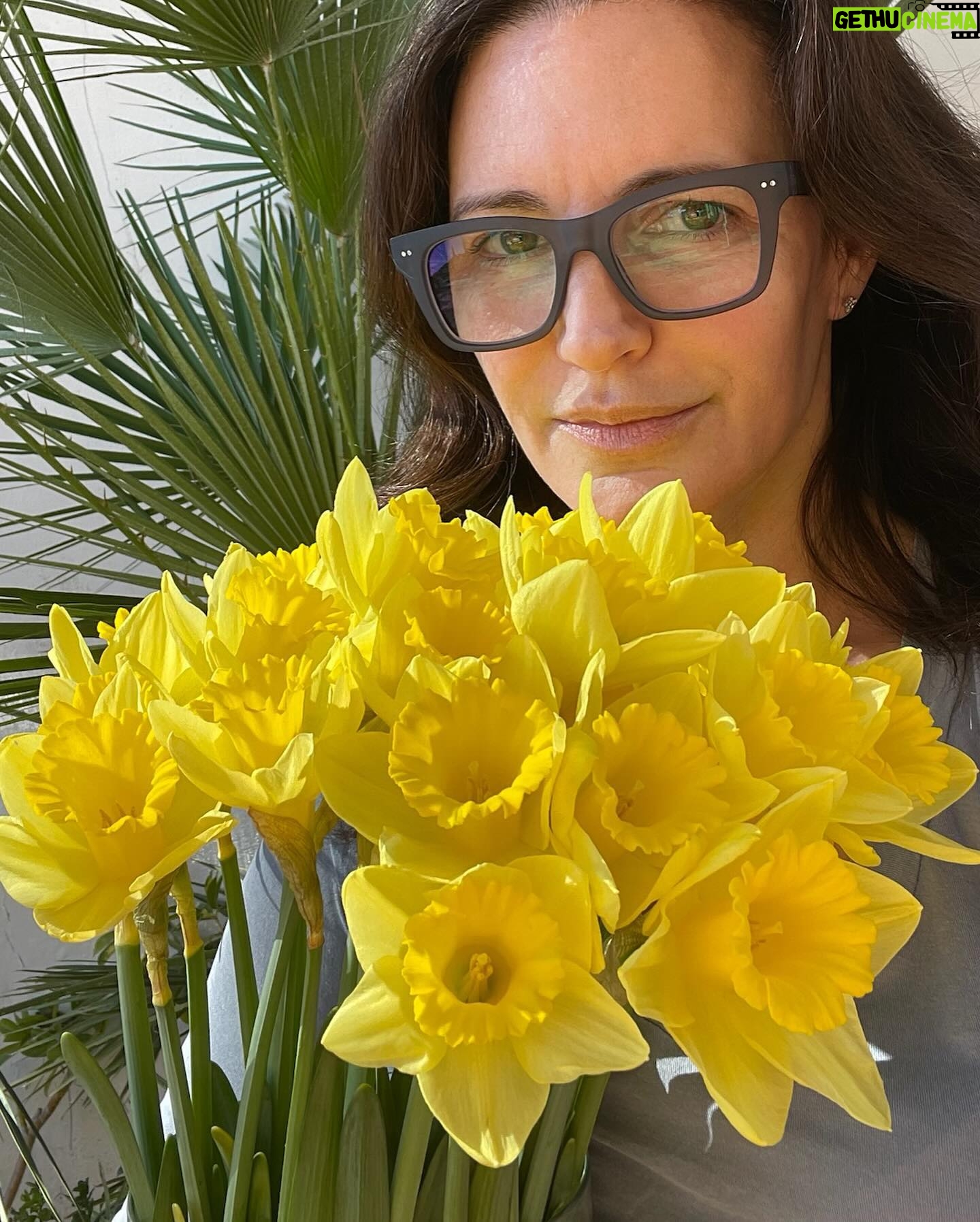 Kristin Davis Instagram - Happy spring, everyone 🩷 here’s to more flowers and sunshine 💐