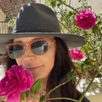 Kristin Davis Instagram - Happy spring, everyone 🩷 here’s to more flowers and sunshine 💐