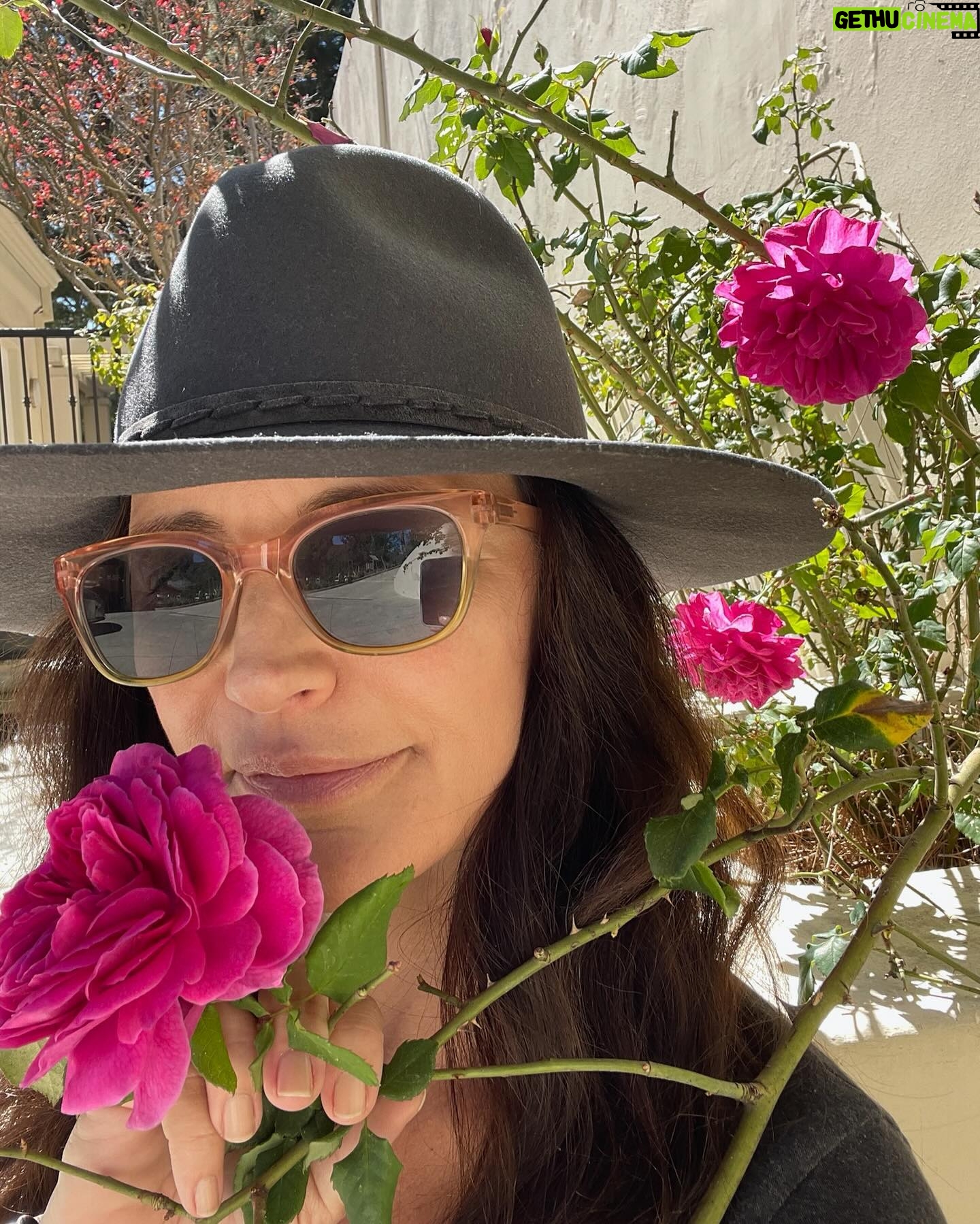 Kristin Davis Instagram - Happy spring, everyone 🩷 here’s to more flowers and sunshine 💐