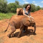 Kristin Davis Instagram - Happy Earth Day!! These pictures are from my time with the Sheldrick Trust, an organization that I hold so close to my heart. Maybe this Earth Day, you could plant a seed, take a hike, or even help foster an elephant! 🐘 ❤️🌎