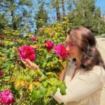 Kristin Davis Instagram - Spring has sprung! So happy to have these beautiful roses blooming all around my house!