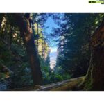 Kristin Kreuk Instagram – When you move back to Vancouver, it’s best to become a stereotype and hike a lot. (Also, watch @durance.erica ‘s Hallmark movie tonight! She can’t get into her Instagram account, so I’ll just keep reminding you.)