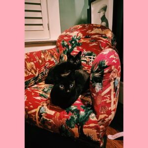Kristin Kreuk Instagram - It’s a day I don’t celebrate but appreciate that many others do. I hope you are all loving each other and yourselves in ways that help you grow, feel cozy, break your heart (and mend it), make you brave, and allow you to hide when necessary. My cats and I present your feed with pink and red  pictures of us along with poetry by the brilliant Eve Ewing. 

Origin Story(by Eve Ewing from her book “Electric Arches”)
“This is true:
my mother and my father met at the Grevhound bus station in the mid-eighties in Chicago. my mother, all thick glass and afro puff, came west on the train when she was nineteen, lived in a friend's house and cared for her children, played tambourine in a Chaka Khan cover band. my'father, all sleeveless and soft eye, ran away from home when he was seventeen, mimeographed communist newspapers and drew comic books
like this one, for sale. one dollar. my mother bought one.
love is like a comic book. it's fragile and the best we can do is protect it in whatever clumsy ways we can: plastic and cardboard, dark rooms and boxes. in this way, something never meant to last
might find its way to another decade, another home, an attic, a basement, intact.
love is paper.
and if my parents' love was a comic book, it never saw polyvinyl, never felt a backing.
it was curled into a back pocket for a day at the park, lent to a friend, read under covers,
reread hanging upside down over the back of the couch,
memorized, mishandled, worm thin, staples rusted. 
a love like that doesn’t last 
but it has a good ending.” -Eve Ewing

Photo of me by @theportraitsessions