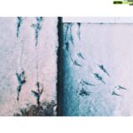 Kristin Kreuk Instagram - It is the (technical) beginning of winter in the northern hemisphere. But also, the days now begin to get longer. Which makes me really happy today. I don’t really have any pictures right now. So, you get these🤷🏻‍♀️ Sorrow Is Not My Name BY ROSS GAY No matter the pull toward brink. No matter the florid, deep sleep awaits. There is a time for everything. Look, just this morning a vulture nodded his red, grizzled head at me, and I looked at him, admiring the sickle of his beak. Then the wind kicked up, and, after arranging that good suit of feathers he up and took off. Just like that. And to boot, there are, on this planet alone, something like two million naturally occurring sweet things, some with names so generous as to kick the steel from my knees: agave, persimmon, stick ball, the purple okra I bought for two bucks at the market. Think of that. The long night, the skeleton in the mirror, the man behind me on the bus taking notes, yeah, yeah. But look; my niece is running through a field calling my name. My neighbor sings like an angel and at the end of my block is a basketball court. I remember. My color's green. I'm spring. —for Walter Aikens