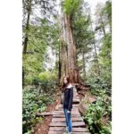 Kristin Kreuk Instagram - First adventure of 2023. TREES!!!! OCEAN!!! (These are mostly from Tofino, BC)