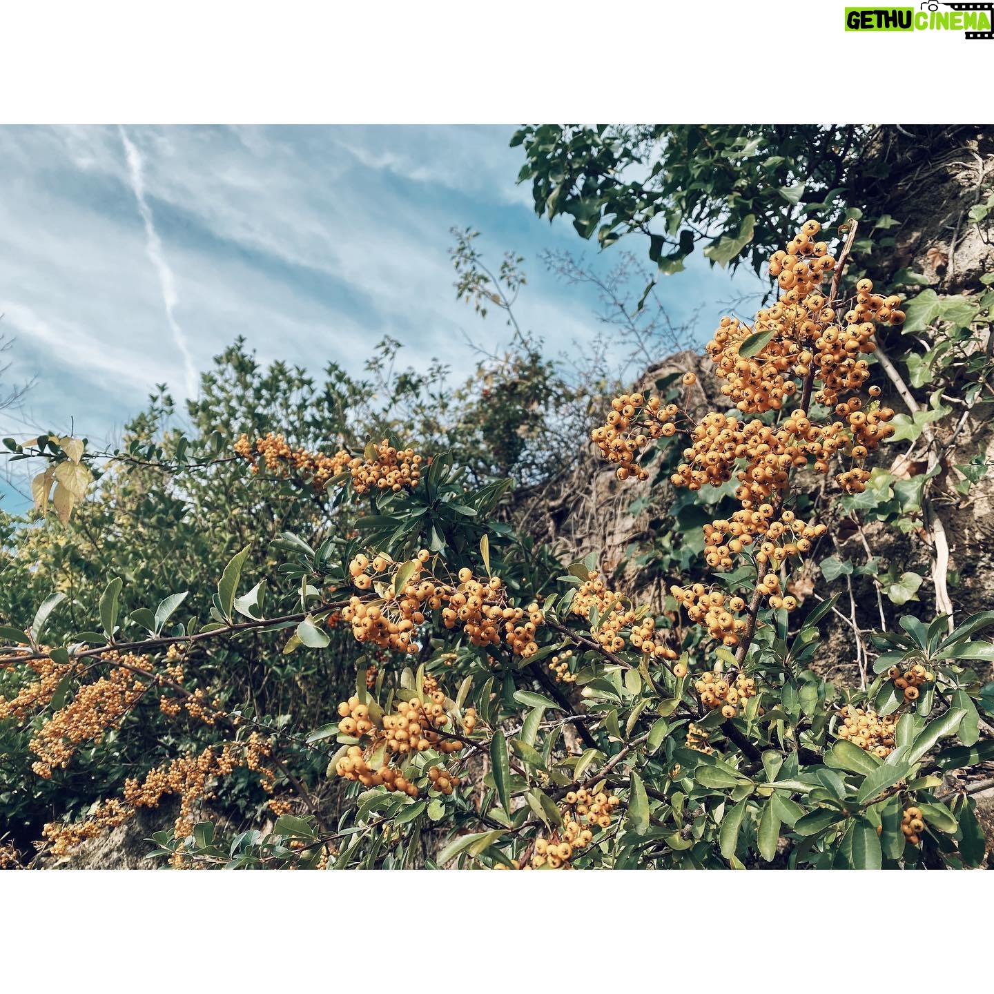 Kristin Kreuk Instagram - It was really nice.
