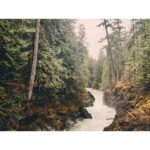 Kristin Kreuk Instagram - First adventure of 2023. TREES!!!! OCEAN!!! (These are mostly from Tofino, BC)