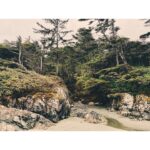 Kristin Kreuk Instagram - First adventure of 2023. TREES!!!! OCEAN!!! (These are mostly from Tofino, BC)