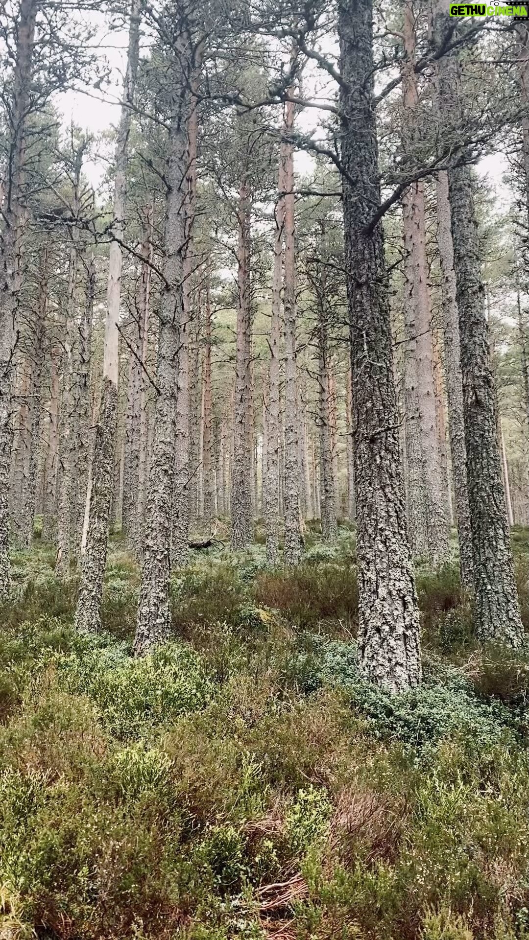 Kristin Kreuk Instagram - I dunno. I’m just making reels highlighting outside places now. This one is Cairngorms.