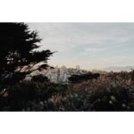 Kristin Kreuk Instagram - Thank you, San Francisco! I have had an amazing few days exploring your wonderful city. Here are trees and selfies and city scapes. Until next time!!