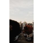 Kristin Kreuk Instagram - Thank you, San Francisco! I have had an amazing few days exploring your wonderful city. Here are trees and selfies and city scapes. Until next time!!