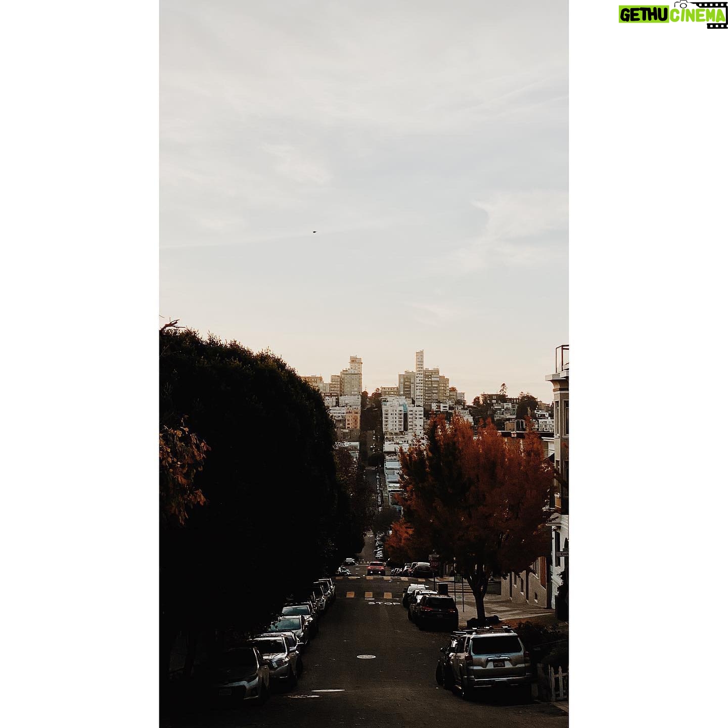 Kristin Kreuk Instagram - Thank you, San Francisco! I have had an amazing few days exploring your wonderful city. Here are trees and selfies and city scapes. Until next time!!
