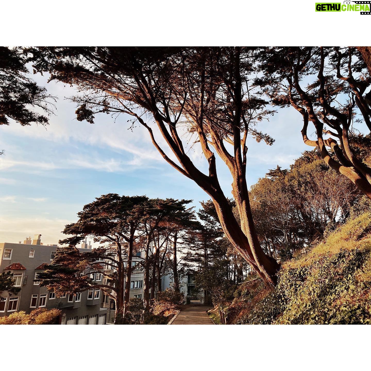 Kristin Kreuk Instagram - Thank you, San Francisco! I have had an amazing few days exploring your wonderful city. Here are trees and selfies and city scapes. Until next time!!